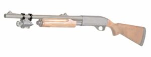 sg_r1_weapon.jpg