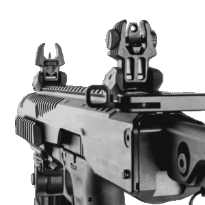 Fab Defense Front and Rear Back-Up Flip Up Sight (FBS + RBS)
